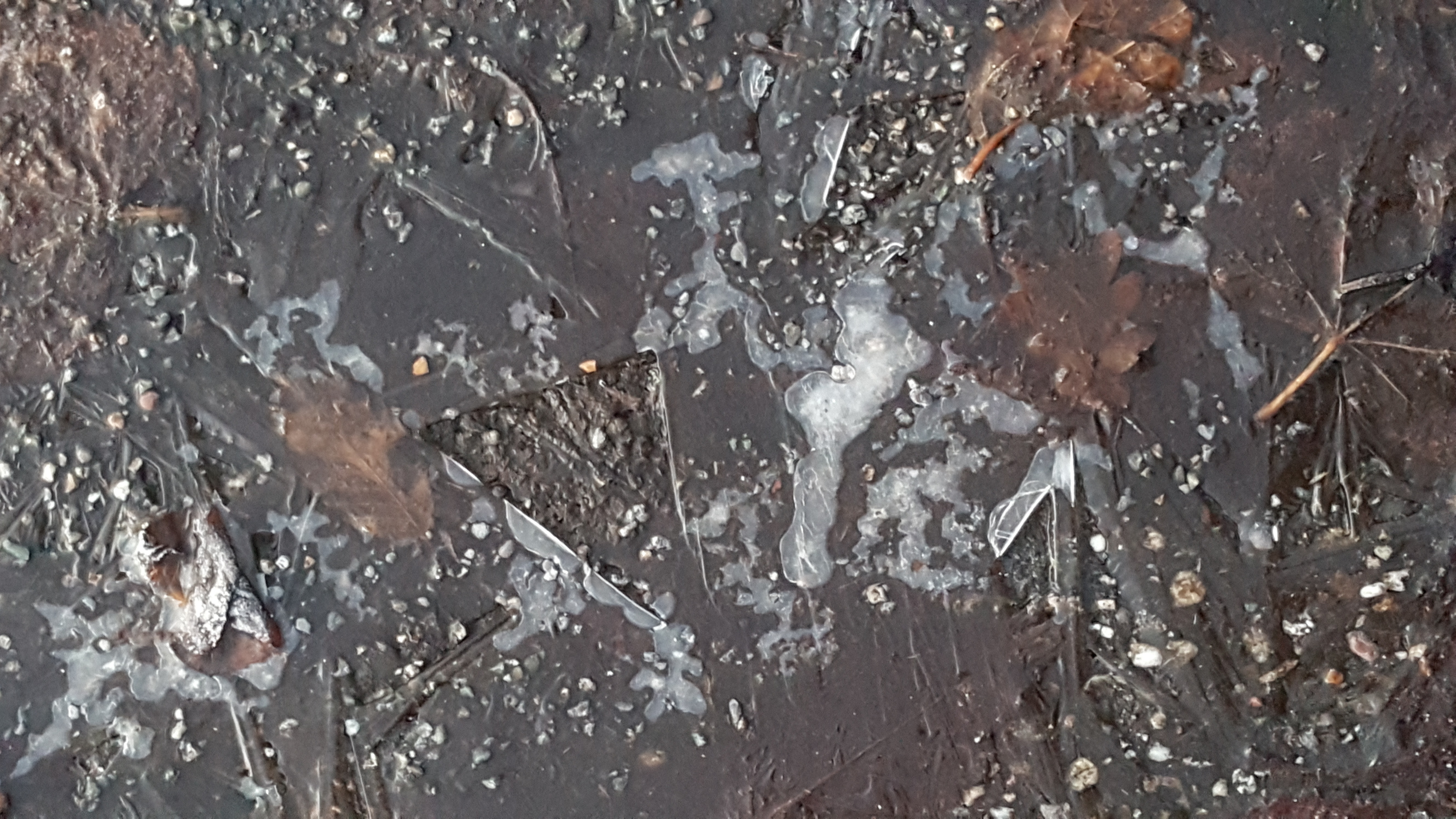 Frozen cracked puddle