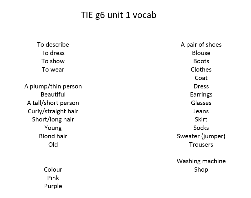 Unit 1 TIE 6 vocab list